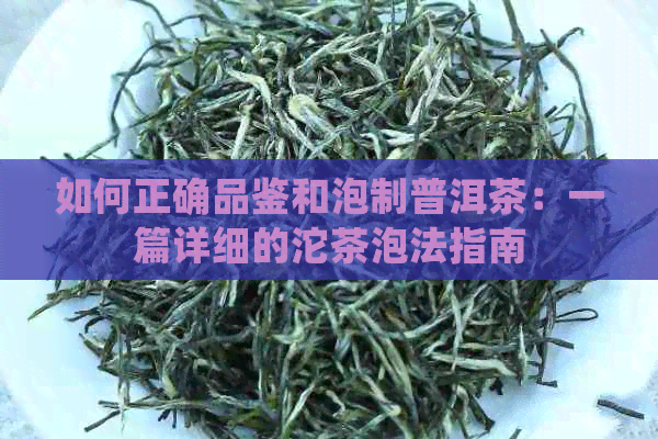 如何正确品鉴和泡制普洱茶：一篇详细的沱茶泡法指南