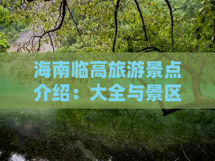 海南临高旅游景点介绍：大全与景区精华指南