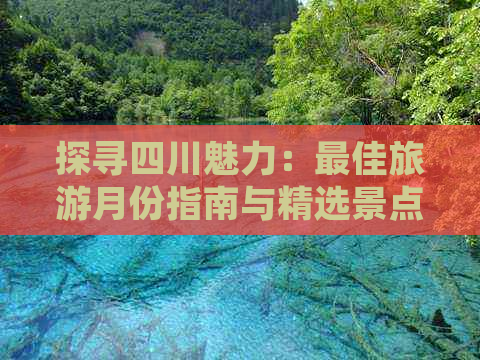 探寻四川魅力：更佳旅游月份指南与精选景点推荐