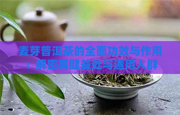 麦芽普洱茶的全面功效与作用：解密其健益处与适用人群