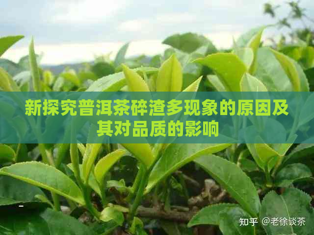 新探究普洱茶碎渣多现象的原因及其对品质的影响