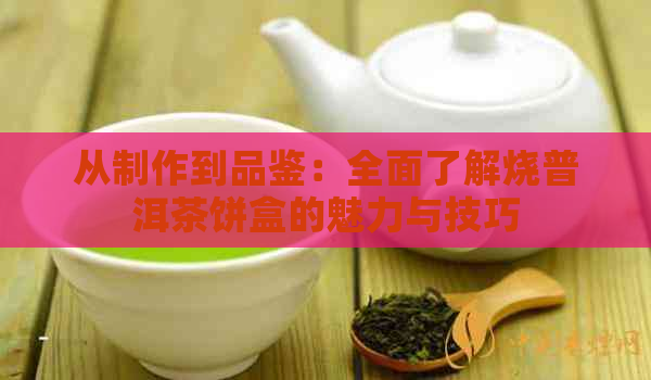 从制作到品鉴：全面了解烧普洱茶饼盒的魅力与技巧