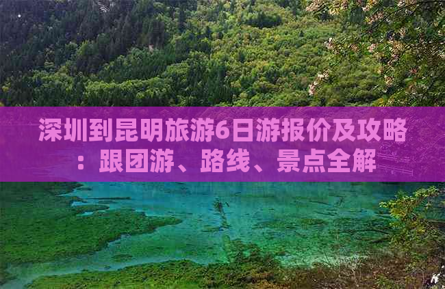 深圳到昆明旅游6日游报价及攻略：跟团游、路线、景点全解