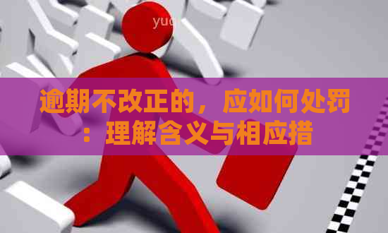 逾期不改正的，应如何处罚：理解含义与相应措