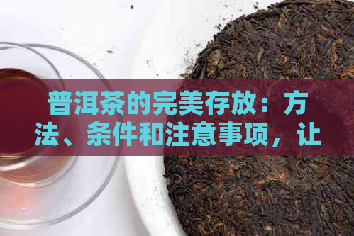 普洱茶的完美存放：方法、条件和注意事项，让你的茶叶保持品质