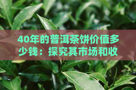 40年的普洱茶饼价值多少钱：探究其市场和收藏潜力