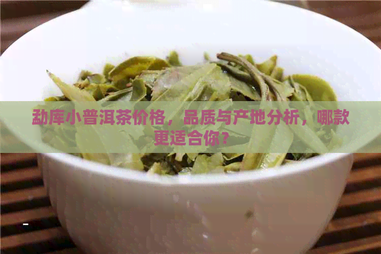 勐库小普洱茶价格，品质与产地分析，哪款更适合你？