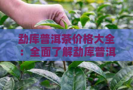 勐库普洱茶价格大全：全面了解勐库普洱茶的市场行情及各种等级的价格区间