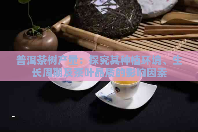 普洱茶树产量：探究其种植环境、生长周期及茶叶品质的影响因素