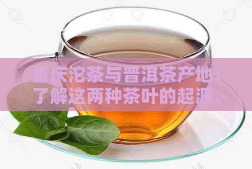 重庆沱茶与普洱茶产地：了解这两种茶叶的起源、特点和品质