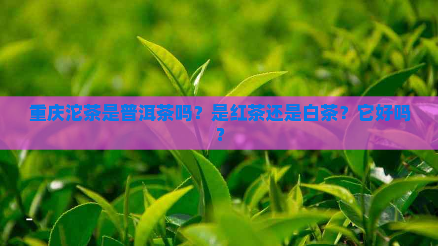 重庆沱茶是普洱茶吗？是红茶还是白茶？它好吗？