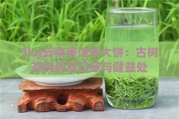 3kg云南普洱茶大饼：古树茶的醇厚口感与健益处