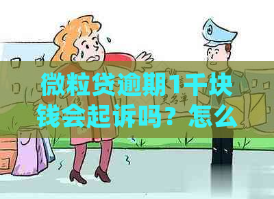 微粒贷逾期1千块钱会起诉吗？怎么处理？