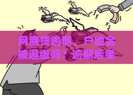 网商贷逾期，户地会被追缴吗？逾期后果如何处理？解答您的所有疑问！