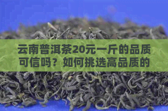 云南普洱茶20元一斤的品质可信吗？如何挑选高品质的普洱茶？