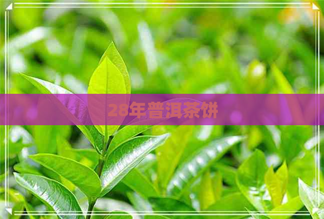 28年普洱茶饼