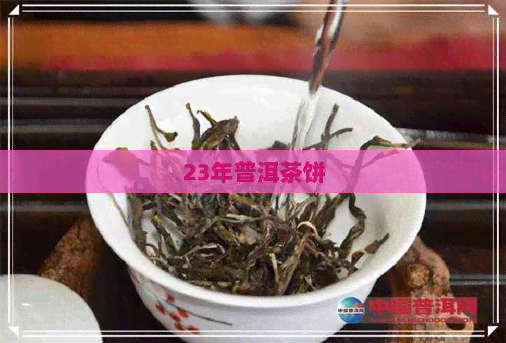 23年普洱茶饼