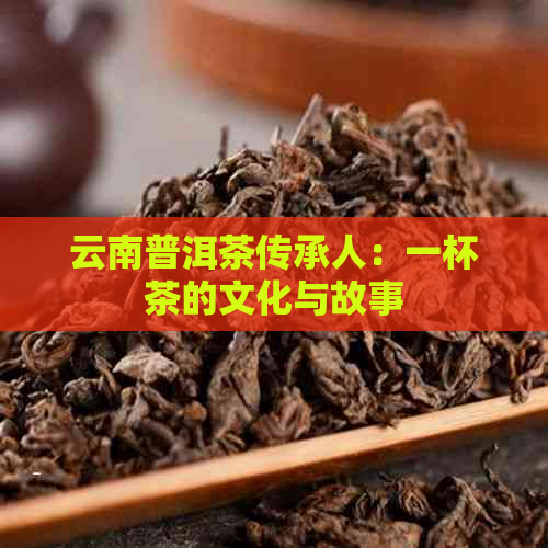 云南普洱茶传承人：一杯茶的文化与故事