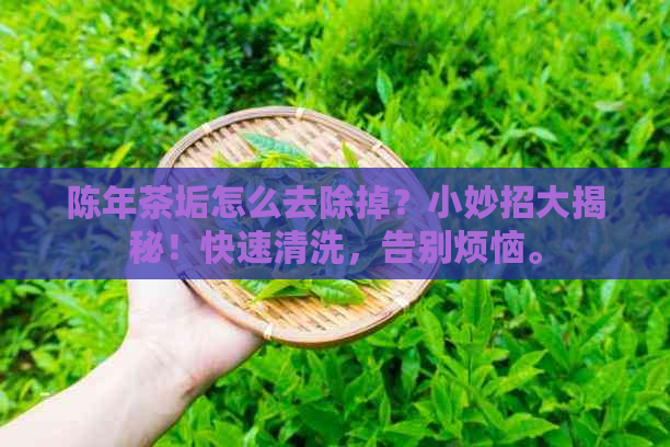 陈年茶垢怎么去除掉？小妙招大揭秘！快速清洗，告别烦恼。