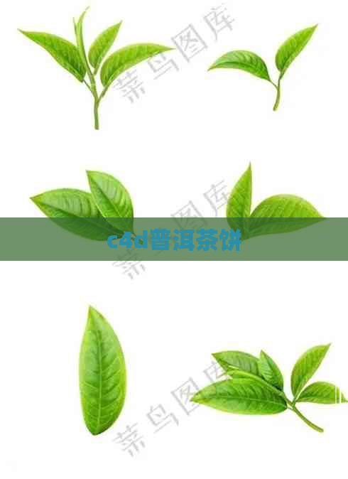 c4d普洱茶饼