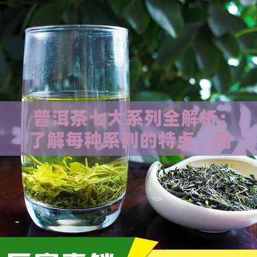 普洱茶七大系列全解析：了解每种系列的特点、品质与功效