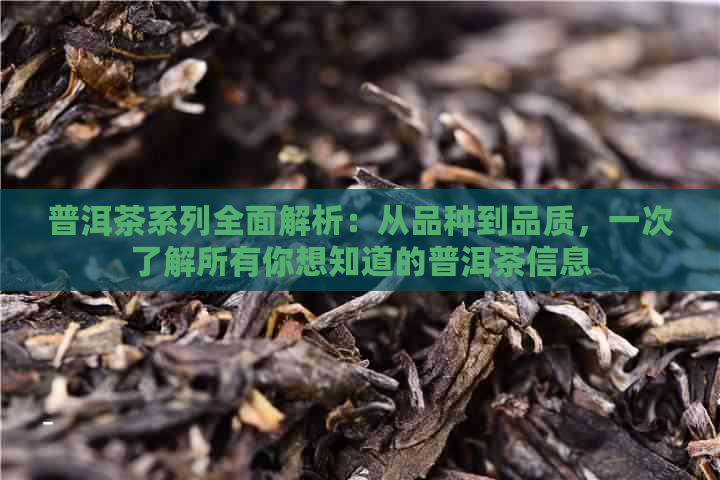 普洱茶系列全面解析：从品种到品质，一次了解所有你想知道的普洱茶信息