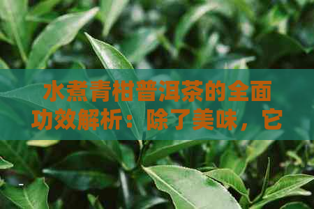 水煮青柑普洱茶的全面功效解析：除了美味，它还有哪些健益处？