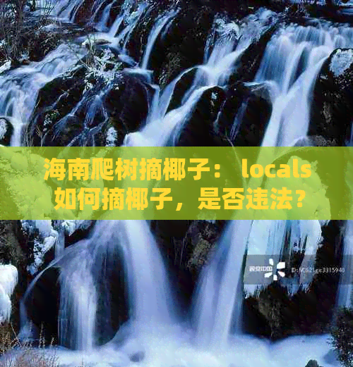 海南爬树摘椰子： locals 如何摘椰子，是否违法？