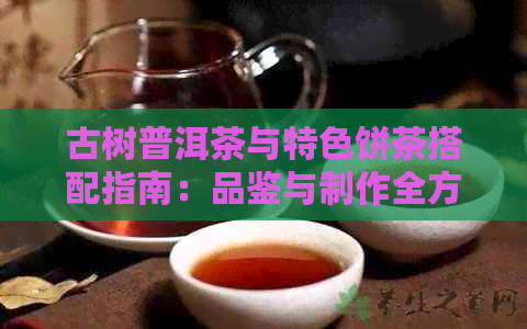 古树普洱茶与特色饼茶搭配指南：品鉴与制作全方位解析