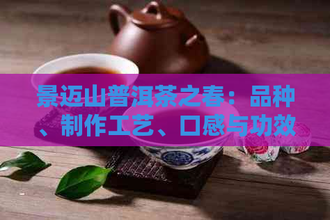 景迈山普洱茶之春：品种、制作工艺、口感与功效全方位解析