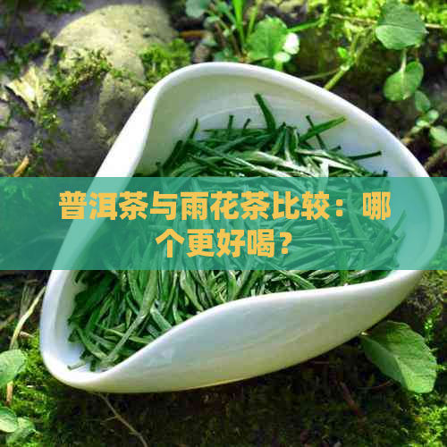 普洱茶与雨花茶比较：哪个更好喝？