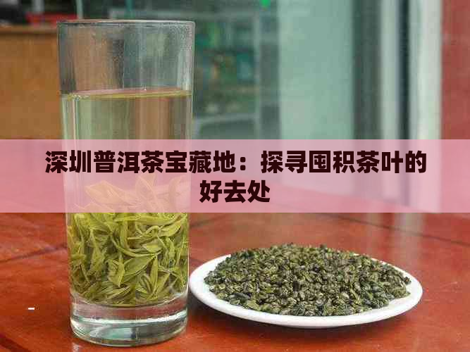 深圳普洱茶宝藏地：探寻囤积茶叶的好去处