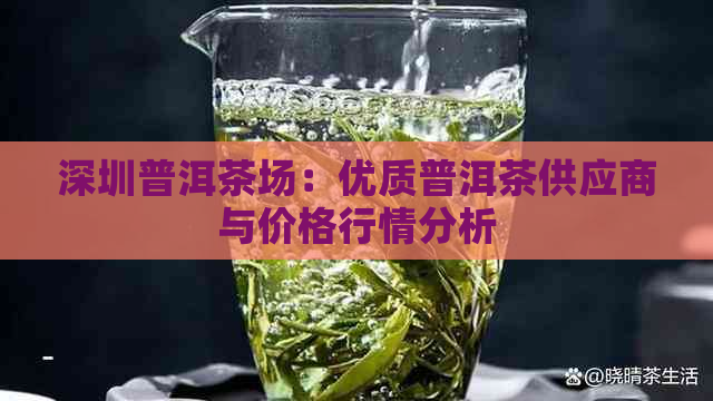 深圳普洱茶场：优质普洱茶供应商与价格行情分析