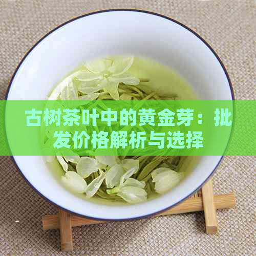 古树茶叶中的黄金芽：批发价格解析与选择