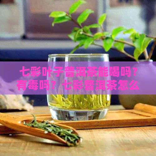 七彩叶子普洱茶能喝吗？有吗？七彩普洱茶怎么样？