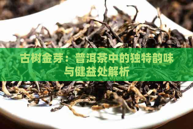 古树金芽：普洱茶中的独特韵味与健益处解析