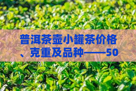 普洱茶壶小罐茶价格、克重及品种——50克普洱小罐茶生熟详解