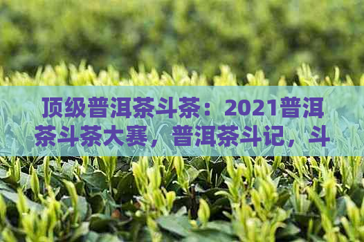 顶级普洱茶斗茶：2021普洱茶斗茶大赛，普洱茶斗记，斗记普洱茶等级划分