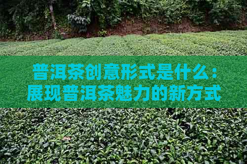 普洱茶创意形式是什么：展现普洱茶魅力的新方式与茶艺创作。