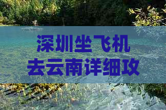 深圳坐飞机去云南详细攻略：飞行时间与路线指南