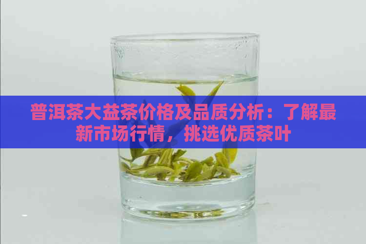 普洱茶大益茶价格及品质分析：了解最新市场行情，挑选优质茶叶