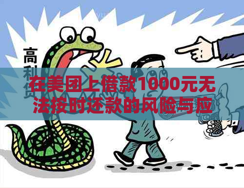 在美团上借款1000元无法按时还款的风险与应对措