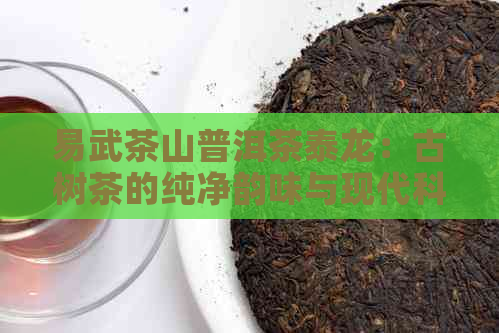 易武茶山普洱茶泰龙：古树茶的纯净韵味与现代科技的完美融合