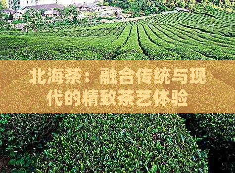 北海茶：融合传统与现代的精致茶艺体验