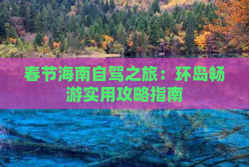 春节海南自驾之旅：环岛畅游实用攻略指南