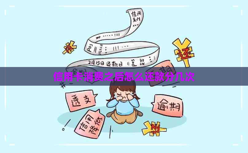 信用卡消费之后怎么还款分几次