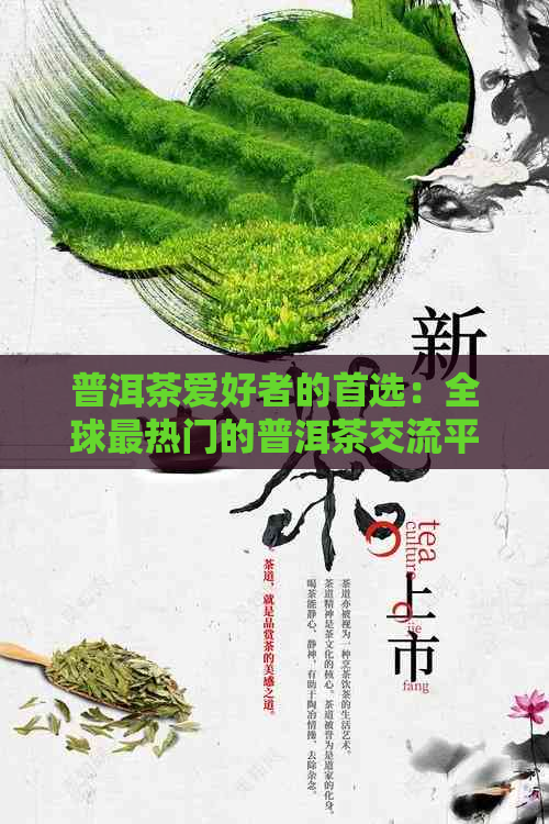 普洱茶爱好者的首选：全球最热门的普洱茶交流平台