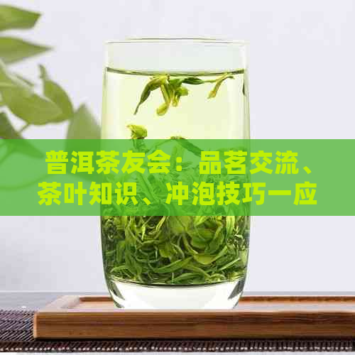 普洱茶友会：品茗交流、茶叶知识、冲泡技巧一应俱全的茶友社区