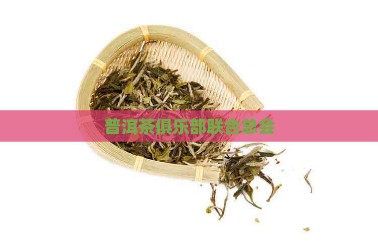 普洱茶俱乐部联合总会