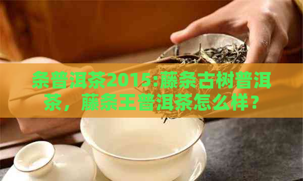 条普洱茶2015:藤条古树普洱茶，藤条王普洱茶怎么样？